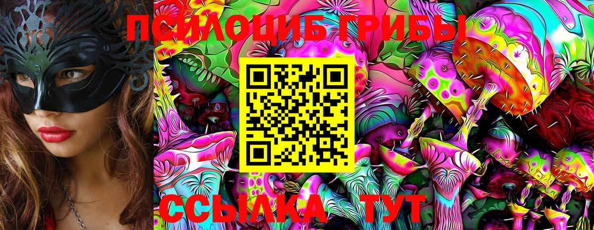 Галлюциногенные грибы Psilocybe  Псилоцибиновые грибы Psilocybine cubensis  Вход с VPN  Удомля 