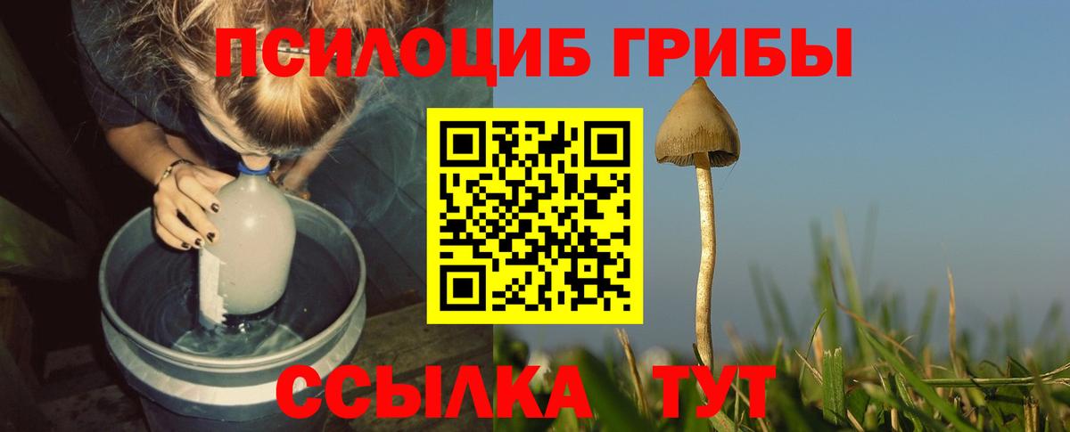 Канабис Удомля